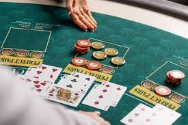6co2 Real Dealers, Real Tables, Aap ke Screen Par